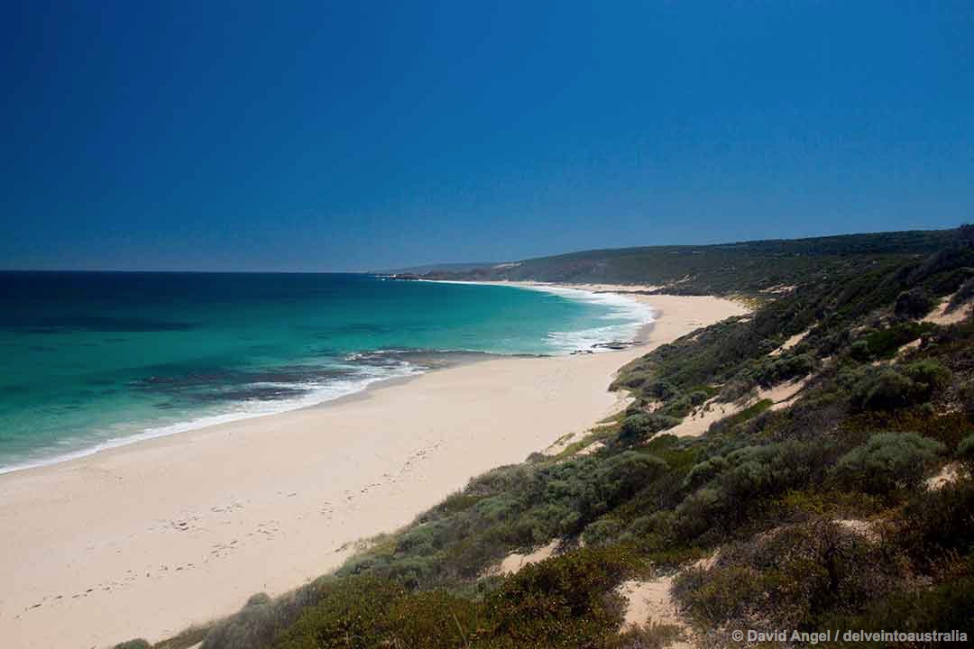 Image of Injidup Beach, Western Australia