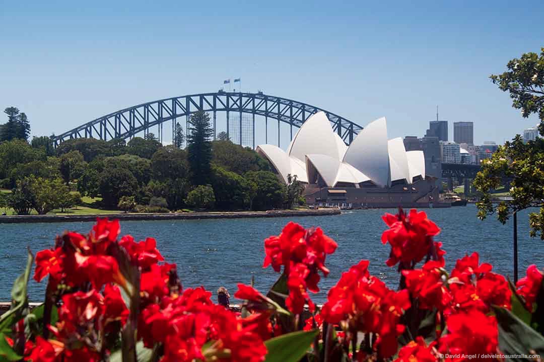 Image of Sydney Opera House from Royal Botanic Garden
