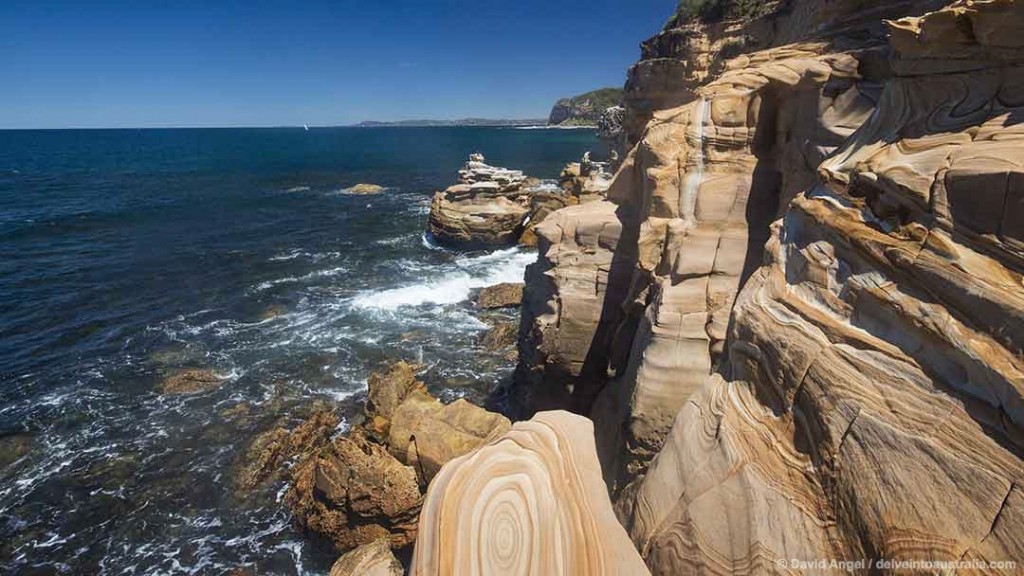 Bouddi Coastal Walk One Of Australia s Best Coastal Walks bouddi-coastal-walk-one-of-australia-s-best-coastal-walks