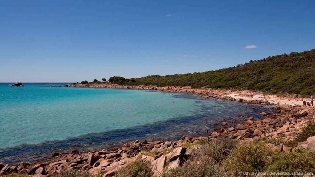 Things to do in Dunsborough - Western Australia