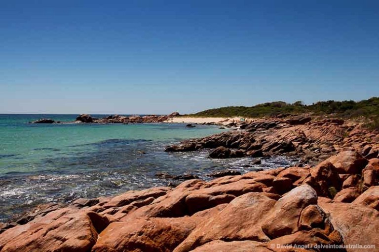 Things to do in Dunsborough - Western Australia